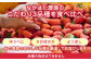 いちご 食べ比べ セット 国産 農園直送 産地直送 熊本県産 山都町産 イチゴ 苺 ストロベリー フルーツ 果物