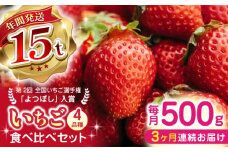【先行予約】【全3回定期便】【2025年12月より順次発送】いちご 食べ比べセット 総計1.5kg ( 250g × 2P × 3回 ) 国産 農園直送 産地直送 熊本県産 山都町産 イチゴ 苺 ストロベリー フルーツ 果物 【なかはた農園】[YBI013] 