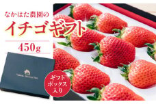 ギフト 特選 いちご 450g ( 9-15粒 ) 国産 農園直送 産地直送 熊本県産 山都町産 イチゴ 苺 ストロベリー フルーツ 果物 【なかはた農園】[YBI015] 