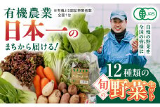 有機野菜 オーガニック 12種 野菜セット 野菜 有機JAS認定 詰め合わせ オーガニック野菜 熊本県産 山都町産 産地直送 有機野菜 熊本直送 有機野菜 【株式会社 肥後やまと】[YAF001]