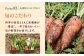 有機野菜 オーガニック 12種 野菜セット 野菜 有機JAS認定 詰め合わせ オーガニック野菜 熊本県産 山都町産 産地直送