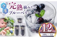 冷凍ブルーベリー 計1.2kg (400g × 3パック) 果物 ブルーベリー フルーツ 小分け 熊本 冷凍 ブルーベリー ぶるーべりー 国産【清和の恵み工房】[YAA003] 