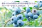 冷凍ブルーベリー 計1.2kg (400g × 3パック)