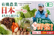 【全3回隔週定期便】 有機野菜 オーガニック 12種 野菜セット 野菜 有機JAS認定 詰め合わせ オーガニック野菜 熊本県産 山都町産 産地直送 有機野菜 熊本直送 有機野菜【株式会社 肥後やまと】[YAF004] 