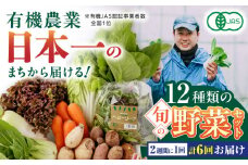 【全6回隔週定期便】有機野菜 12種セット 野菜 詰め合わせ 熊本県産 山都町産 産地直送  オーガニック【株式会社 肥後やまと】[YAF005] 