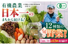 【全12回隔週定期便】有機野菜 12種セット 野菜 詰め合わせ 熊本県産 山都町産 産地直送 オーガニック【株式会社 肥後やまと】[YAF006] 