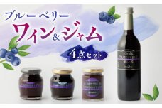 【化粧箱入】ブルーベリーワイン 720ml & ジャム 3個 セット ブルーベリー 熊本 ワイン 山都【社会福祉法人 御陽会 サポートハウス 明星学園】[YBM005] 