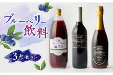 ブルーベリー果汁 1000ml ブルーベリーワイン 720ml スパークリングワイン 750ml 各1本 3本 セット ブルーベリー ワイン 熊本 山都【社会福祉法人 御陽会 サポートハウス 明星学園】[YBM007]