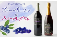 【化粧箱入】スパークリングワイン 750ml ブルーベリーワイン 720ml 2本 セット ブルーベリー ワイン 熊本 山都【社会福祉法人 御陽会 サポートハウス 明星学園】[YBM009] 