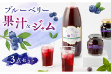 【化粧箱入】ブルーベリー果汁 1000ml & ジャム 2個 セット ブルーベリー 熊本 山都【社会福祉法人 御陽会 サポートハウス 明星学園】[YBM008] 