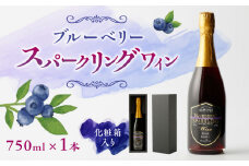 【化粧箱入】スパークリングワイン 750ml ブルーベリー ワイン 熊本 山都【社会福祉法人 御陽会 サポートハウス 明星学園】[YBM010] 