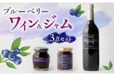 【化粧箱入】ブルーベリーワイン 720ml & ジャム 2個 セット ブルーベリー 熊本 山都【社会福祉法人 御陽会 サポートハウス 明星学園】[YBM011] 