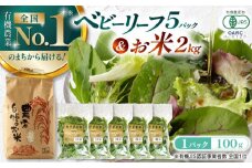 有機野菜 ベビーリーフ (100g×5パック) お米 2kg 計2.5kgセット 山都町産 有機野菜 産地直送 高原野菜 有機JAS認証取得 有機野菜【株式会社 清和ミネラル会】[YBT001] 