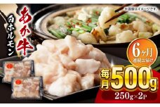 【全6回定期便】熊本県産 あか牛 白ホルモン 合計3kg (250g×2P) 熊本 赤牛 褐牛 あかうし 褐毛和種 肥後 冷凍 国産 牛肉【五右衛門フーズ】[YBZ008]