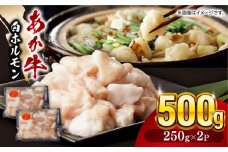 熊本県産 あか牛 白 ホルモン 計500g (250g×2P) 熊本 赤牛 褐牛 あかうし 褐毛和種 肥後 冷凍 国産 牛肉【五右衛門フーズ】[YBZ010] 