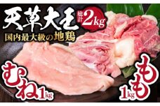 熊本県産 天草大王 地鶏 計2kg ( もも ・ むね ) 各1kg 鶏肉 小分け 国産【あそ大王ファーム株式会社】[YCF002]
