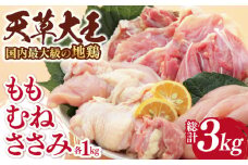 【数量限定】熊本県産 天草大王 地鶏 計3kg ( もも ・ むね ・ ささみ ) 各1kg 鶏肉 小分け 国産【あそ大王ファーム株式会社】[YCF003] 