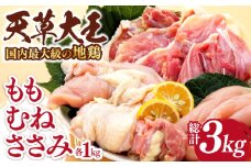 熊本県産 天草大王 地鶏 計3kg ( もも ・ むね ・ ささみ ) 各1kg 鶏肉 小分け 国産【あそ大王ファーム株式会社】[YCF003] 