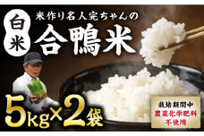 【令和6年産】合鴨米 白米 計10kg ( 5kg × 2袋 ) 米作り名人完ちゃんの合鴨米 栽培期間中農薬化学肥料不使用 熊本県産 [YCT001] 