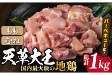 【数量限定】熊本県産 天草大王 地鶏 バーベキュー用カット肉 計1kg 鶏肉 もも むね 国産 【あそ大王ファーム株式会社】[YCF004] 