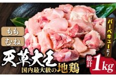 熊本県産 天草大王 地鶏 バーベキュー用カット肉 計1kg 鶏肉 もも むね 国産 【あそ大王ファーム株式会社】[YCF004] 