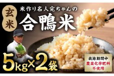 【令和6年産】合鴨米 玄米 計10kg ( 5kg × 2袋 ) 米作り名人完ちゃんの合鴨米 栽培期間中農薬化学肥料不使用 熊本産[YCT002] 