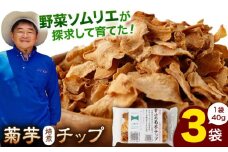 菊芋 焙煎 チップ 120g (40g×3パック) / 野菜 芋 おやつ おつまみ ふりかけ 小分け 熊本 山都町【グリーンファーム矢部】[YDC002] 