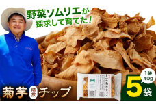 菊芋 焙煎 チップ 200g (40g×5パック) / 野菜 芋 おやつ おつまみ ふりかけ 小分け 熊本 山都町【グリーンファーム矢部】[YDC003] 