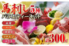 馬刺し 5種 バラエティーセット 計300g 赤身 ハツ サガリ フタエゴ コウネ 食べ比べ 熊本肥育 熊本 冷凍 馬肉 馬刺 ヘルシー【山都町（阿蘇牧場）】[YDF010] 
