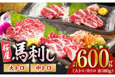 馬刺し 2種 大トロ 中トロ 計600g 300g×2パック 熊本 冷凍 馬肉 馬刺 ヘルシー【山都町（桜屋）】[YBW061] 
