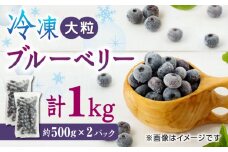 【数量限定】冷凍 ブルーベリー 大粒 計1kg (約500g×2パック) 熊本県産 山都町産 ブルーベリー フルーツ スムージー 果物 小分け 国産【興梠農園】[YBQ003] 