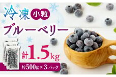 【数量限定】冷凍ブルーベリー 小粒 計1.5kg (約500g×3パック) 熊本県産 山都町産 ブルーベリー フルーツ スムージー 果物 小分け 国産【興梠農園】[YBQ004] 