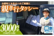 親孝行タクシー券補助券6枚綴り / タクシーチケット タクシー券 熊本 山都町【親孝行タクシー全国会 (つばめタクシー)】[YBS001] 