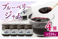 【8月より順次発送】ブルーベリージャム 250g×4個 ブルーベリー ジャム トースト 熊本 山都【興梠農園】[YBQ005] 