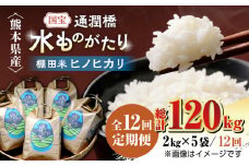 【全12回定期便】令和6年産  通潤橋 水ものがたり 棚田米 10kg (2kg×5袋) お米 白糸台地 熊本産 特別栽培米 定期便【一般社団法人 山都町観光協会】[YAB019] 