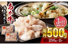 【全3回定期便】熊本県産 あか牛 白 ホルモン 合計1.5kg (250g×2P) 熊本 赤牛 褐牛 あかうし 褐毛和種 肥後 冷凍 国産 牛肉【五右衛門フーズ】[YBZ019] 