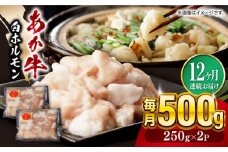 【全12回定期便】熊本県産 あか牛 白 ホルモン 合計6kg(250g×2P) 熊本 赤牛 褐牛 あかうし 褐毛和種 肥後 冷凍 国産 牛肉【五右衛門フーズ】[YBZ020] 