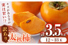 【先行予約】【10月下旬より順次発送】【訳あり】太秋柿 約3.5kg 家庭用 甘柿 柿 かき カキ 果物 フルーツ デザート スイーツ 秋の味覚 産地直送 山都町産 【大浜農園】[YCE002] 