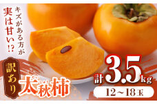 【先行予約】【10月下旬より順次発送】【訳あり】太秋柿 約3.5kg 家庭用 甘柿 かき フルーツ 柿 かき 規格外 わけあり ご自宅用 果物 くだもの フルーツ 産地直送 山都町産 【大浜農園】[YCE002] 