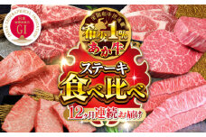 【全12回定期便】【GI認証】熊本県産 あか牛 ステーキ 12種 極上 食べ比べ 計5.72kg ステーキ 定期便 牛肉 サーロインステーキ ランプステーキ リブロースステーキ モモステーキ シャトーブリアン サーロイン ランプ ミスジ 三角バラ リブロース カイノミ ザブトン モモ 赤身 焼肉 国産 牛肉 熊本県産 ステーキ 定期便【有限会社 三協畜産】[YCG035] 