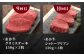 熊本県産 あか牛 ステーキ 12種 極上 食べ比べ 定期便 牛肉 サーロイン ランプ リブロース シャトーブリアン