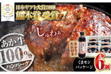 【【年間25万個販売！】】熊本県産 くまモン あか牛 ハンバーグ 120g×6個 セット 牛肉100％ 国産 日本ギフト大賞 熊本 赤牛 ギフト 贈答 プレゼント 褐牛 あかうし 褐毛和種 肥後 冷凍 牛肉【有限会社 三協畜産】[YCG036] 