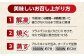 馬肉100% ハンバーグ 150g×10個