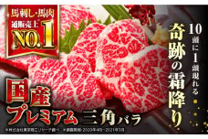 国産 三角バラ 馬刺し 100g 専用醤油付き 熊本県産 熊本 馬刺し 大トロ 冷凍 馬肉 馬刺 ヘルシー ばさし 真空 パック 奇跡の馬刺し 霜降り【株式会社 利他フーズ】[YBX009] 
