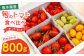 【期間限定】熊本県産 減農薬栽培 トマト ミディトマト 詰め合わせ 800g 食べ比べ ギフトセット 産地直送【矢仁田農園】