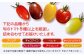 【期間限定】熊本県産 減農薬栽培 トマト ミディトマト 詰め合わせ 800g 食べ比べ ギフトセット 産地直送【矢仁田農園】