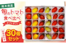 【期間限定】熊本県産 減農薬栽培 トマト ミディトマト 詰め合わせ 30個セット 食べ比べ ギフトセット ミニトマト 産地直送 ミニトマト【矢仁田農園】[YDE001] 