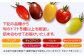 【期間限定】熊本県産 減農薬栽培 トマト ミディトマト 詰め合わせ 30個セット 食べ比べ ギフトセット 産地直送【矢仁田農園】