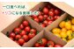 【期間限定】熊本県産 減農薬栽培 トマト ミディトマト 2.5kg 詰め合わせ 食べ比べ【矢仁田農園】