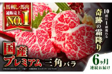 【全6回定期便】熊本県産 三角バラ 馬刺し 100g 専用醤油付き 熊本 国産 冷凍 馬肉 馬刺 ヘルシー 真空 パック 奇跡 霜降り【株式会社 利他フーズ】[YBX021] 